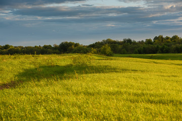 Green field by the sunset.