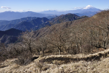 丹沢からの富士山と箱根山