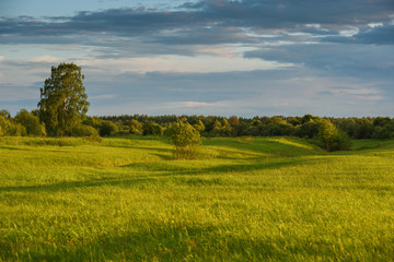 Obraz premium Dramatic sunset on the summer field.