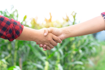 Two man shaking hands in the corn field,Concept of agricultural cooperation