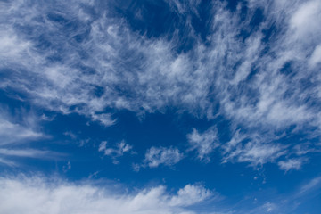 Fototapeta premium blue sky with white clouds