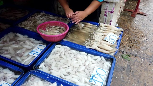 Market Vendor Stacks Squid in Preparation for Sale.