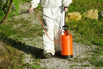 The concept of pest management, insects and mites . Chemical treatment and protection against termites, cockroaches, fleas. Disinfector in white protective overalls with orange spray treats trees and