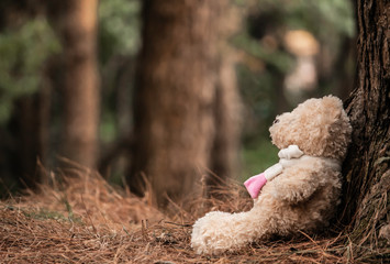 The teddy bear sits on the floor, sitting against the tree. Emotional and expression concept.
