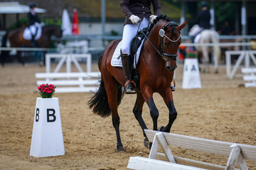 Point B of a dressage rectangle at a dressage tournament, with horses in the background..