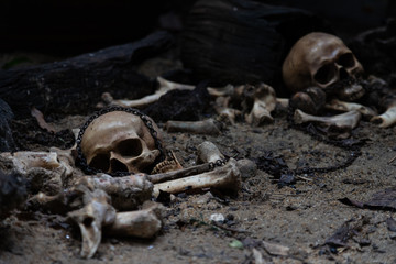 skull and bones