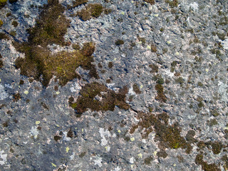 Texture of old natural mossy stone. Beautiful stone surface, dirty rock covered with lichen and moss for natural background