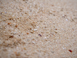 Fototapeta na wymiar Sand background texture. Close-up of coarse sand grains