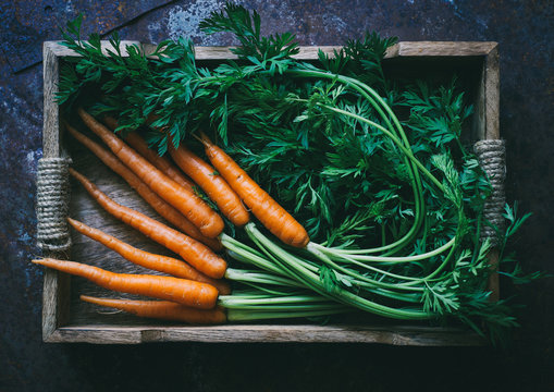 Bunch of fresh baby carrots in a wooden box top view space for text 