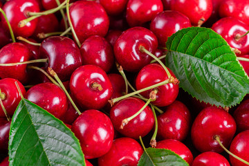 Sweet fresh organic cherry background close-up. Cherry in the plate with leaves on a dark background
