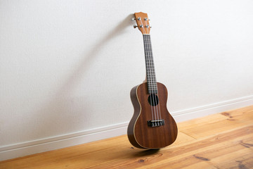 室内のウクレレ、大人の趣味