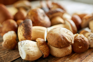 Bolete mushrooms ready to cook