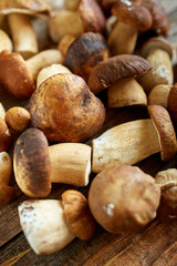 Bolete mushrooms ready to cook