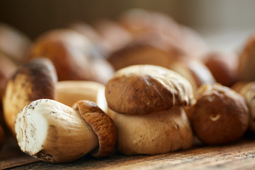 Bolete mushrooms ready to cook