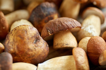 Bolete mushrooms ready to cook