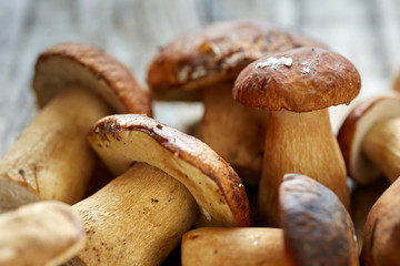 Bolete mushrooms ready to cook