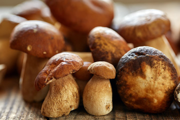 Bolete mushrooms ready to cook