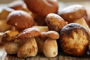 Bolete mushrooms ready to cook