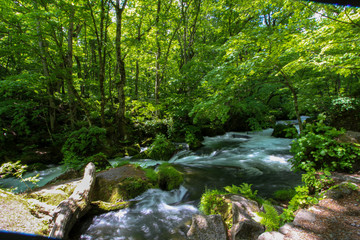 Obraz premium 水しぶきが美しい奥入瀬渓流の阿修羅の流れ