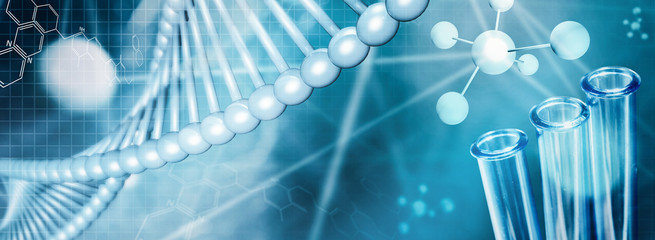 DNA - Biologie - Forschung