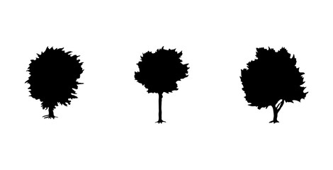 Trees set of three black silhouette on white background. Collection various forms. Vector illustration