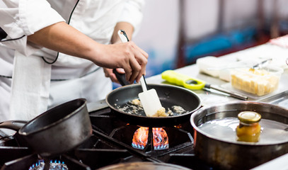 Chef cooking food in the kitchen, Chef preparing food