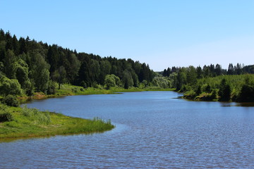 Landscape overlooking the pond with bluish water and greenery around