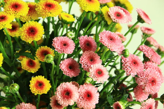 Calimero Flowers - Image
