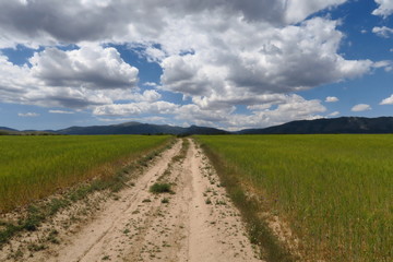 chemin de terre dans la campagne avec ciel nuageux.