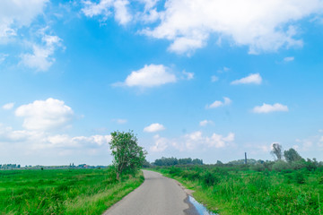 Road in polder landscape