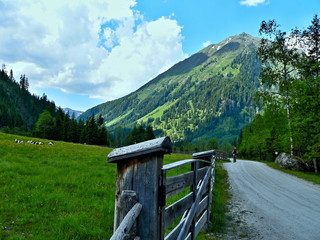Fototapeta na wymiar Austrian Alps-through the valley Hinterweisspriachtal