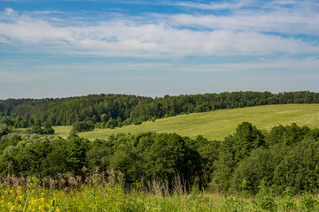 Fototapeta na wymiar Beautiful green landscape in the valley of the river Luzha. Kalushakiy Region, Borovsky District, Russia