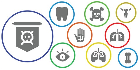 anatomy icon set