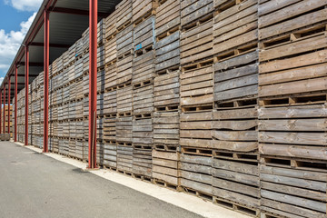 rows of wooden crates boxes and pallets for fruits and vegetables in storage stock. production warehouse. Plant Industry