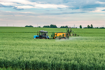 Farmer spraying wheat field with tractor sprayer at spring season