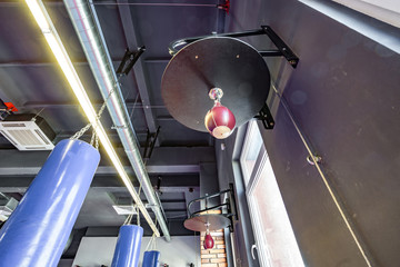 Hall of martial arts with fighting ring and punching bags in the modern Fight club
