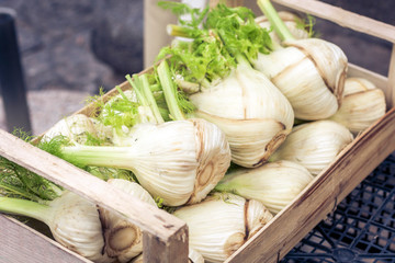fresh garlic in the fruit market, Catania, Sicily, Italy.
