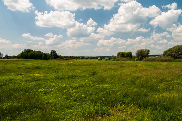 field with a beautiful cloudy sky