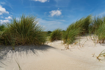Sylt -View to Dunes at Wadden Sea at List  / Germany
