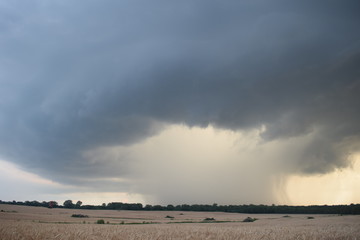 Rain Shaft