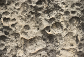 Rock texture of grey limestone with little holes.