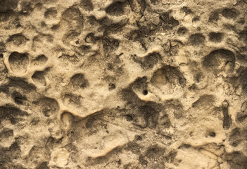 Rock texture of beige limestone with little holes.