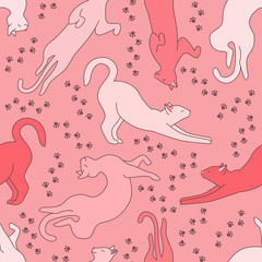Pink cat pattern with footprints