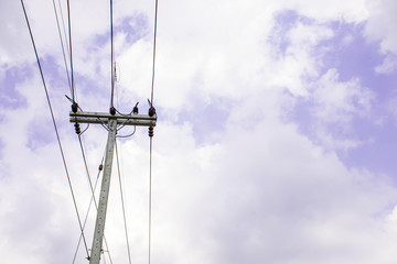 Electricity pole against blue sky clouds, Transmission line of electricity to rural with green...