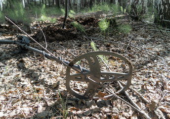 coil of metal detector on the background of fallen leaves in the forest.