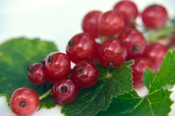 Rote Johannisbeeren