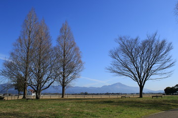 快晴の公園から見た伊吹山の風景です