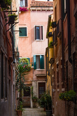 Fototapeta na wymiar Corner of a traditional Venetian street on a bright sunny day. Cityscape. Architecture and landmark of Venice, Italy.