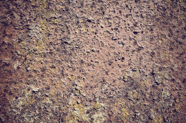 Picture of a rusty and mossy wall, color toned abstract background or texture.