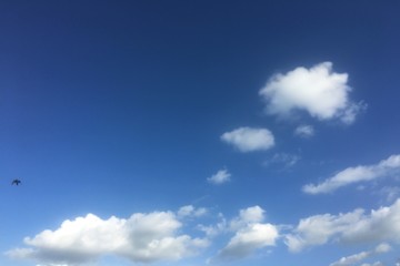 clouds, sky blue background. cloud blue sky.